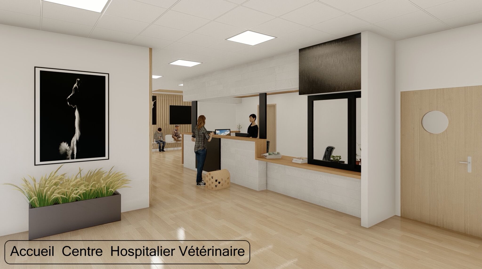 Accueil du Centre Hospitalier de l'Ecole Vétérinaire (intérieur)