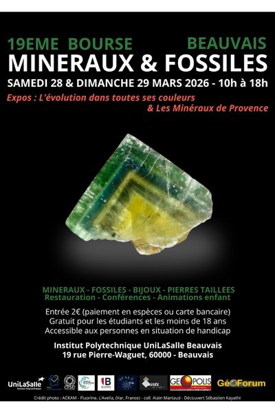 Affiche 19e Bourse aux minéraux et fossiles
