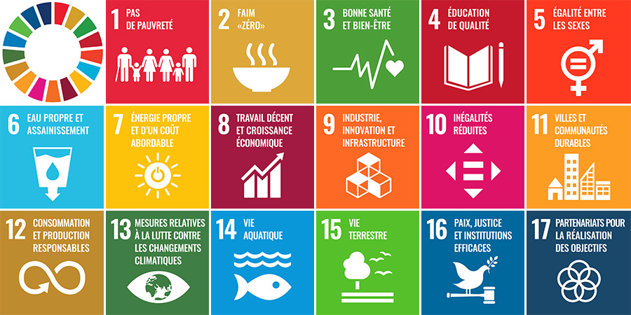 Objectifs du développement durable