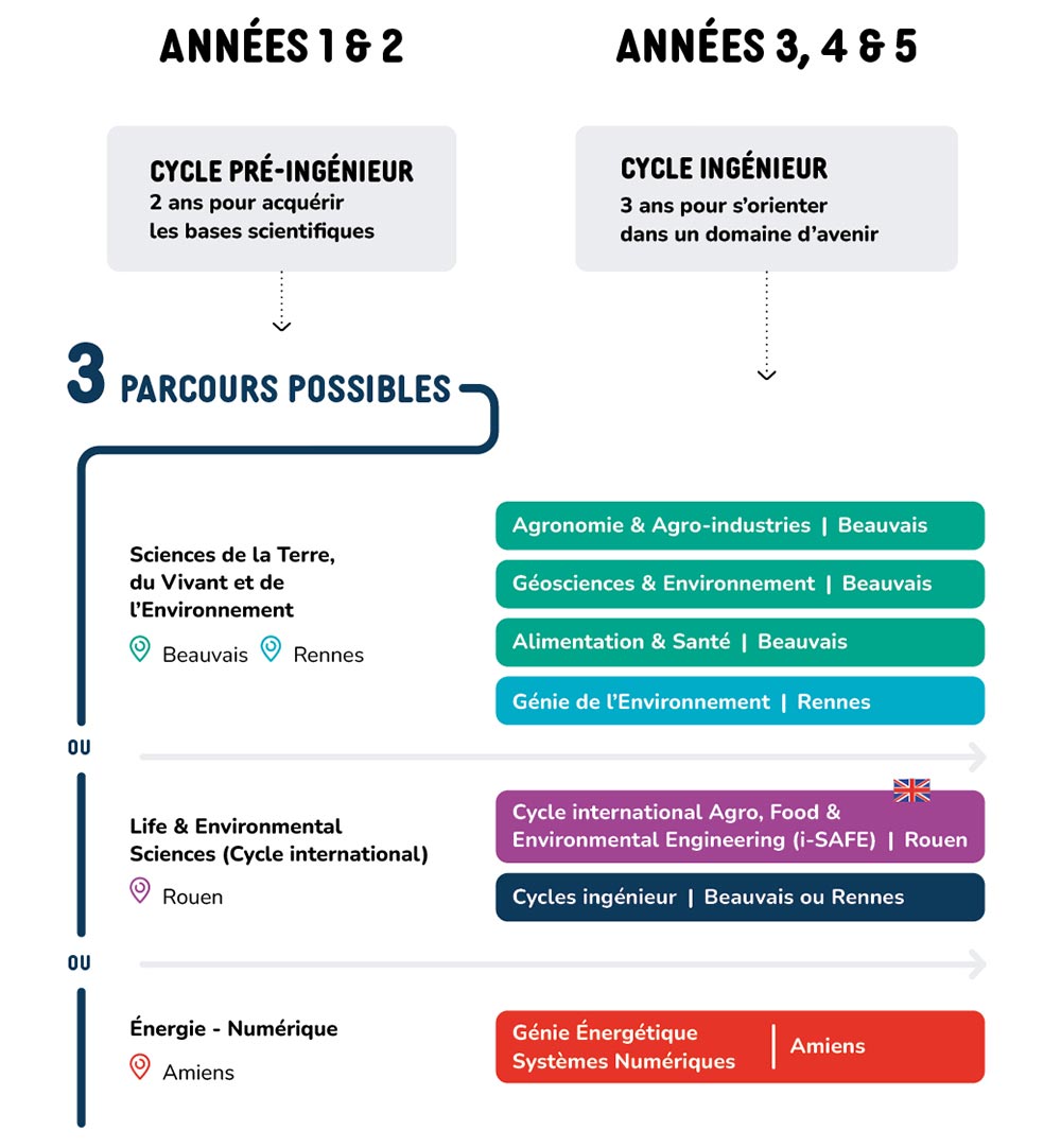 Schéma des formations d'ingénieurs UniLaSalle