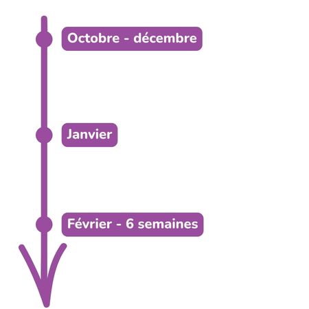 Flèche chronologique vers le bas avec 3 étapes : Octobre - décembre, puis Janvier, puis Février - 6 selmaines