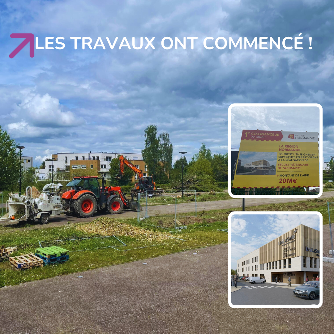 Début des travaux sur l'emplacement du futur centre hospitalier