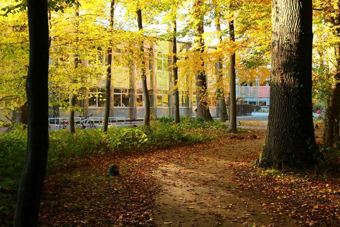 couleurs automnales sur le campus d'Unilasalle, à Beauvais