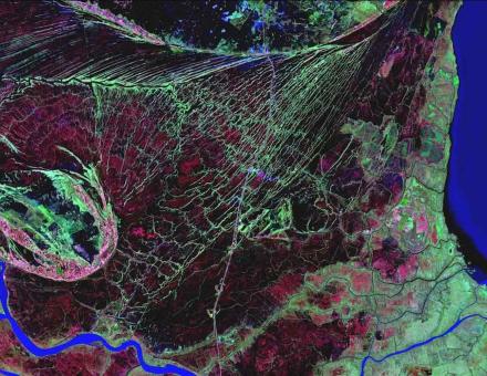 Observing plants at different wavelengths to better study soil-borne diseases