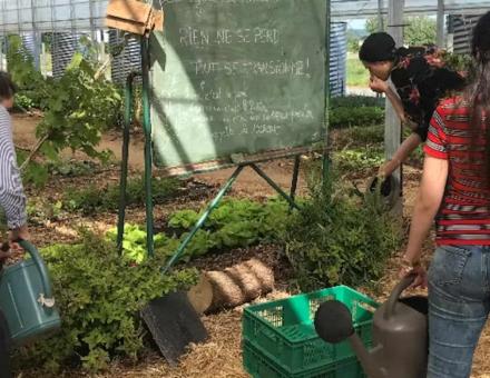 Les étudiants du MSc Urban Agriculture & Green Cities en visite à la ferme pédagogique du Champ des Bruyères. Autrice, Fourni par l'auteur