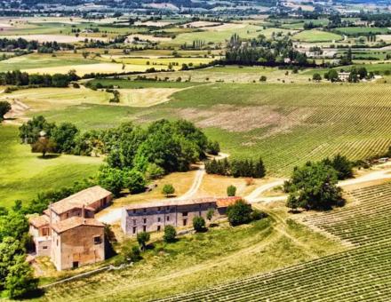 Réussir la relève agricole : le rôle capital des entreprises familiales