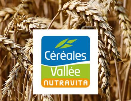 cereales_vallee_internet1800x700_2.jpg