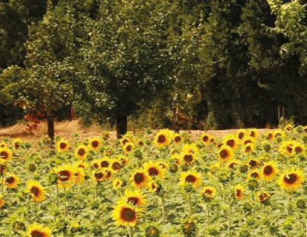 workshop_agroecolo_1800x700.jpg