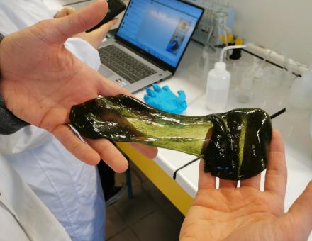 Le Slime, pâte visqueuse et malléable, au-delà du jouet divertissant, un outil d'apprentissage