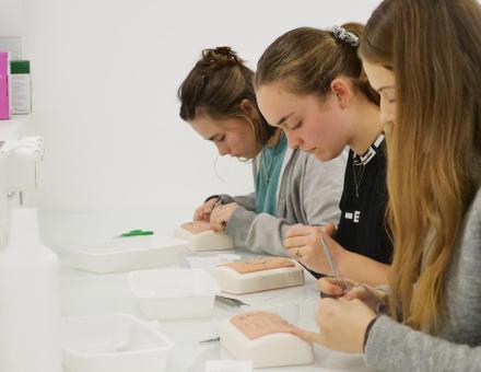 initiation à la suture pour les élèves de l'école vétérinaire d'UniLaSalle Rouen