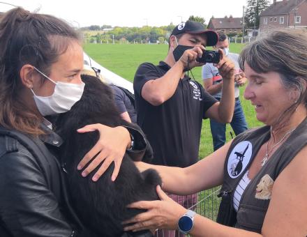 Les chiens futurs guides d'aveugles-impact positif sur la société