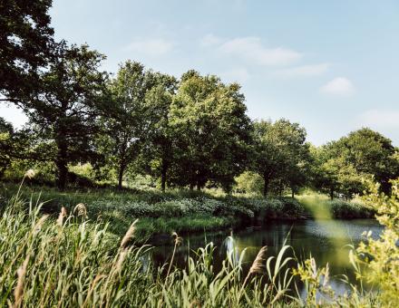 En avril c'est Bioblitz, inventaire de la biodiversité à Bruz (35)