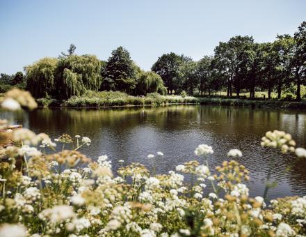 [UniLaSalle Rennes] Etudiants en 5ème année sensibilisent à la biodiversité