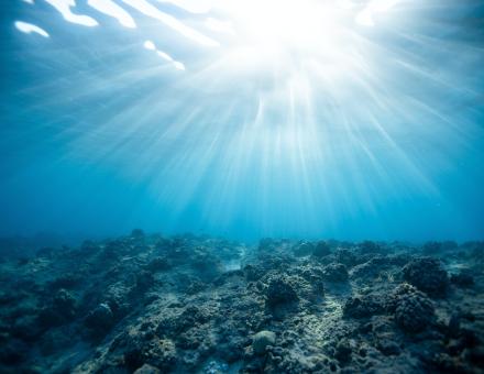 13H ConSci - Pourquoi et comment sauver nos océans ?