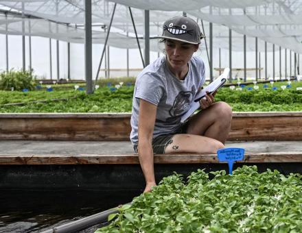Quel rôle pour la production hors-sol dans l’agriculture de demain ?