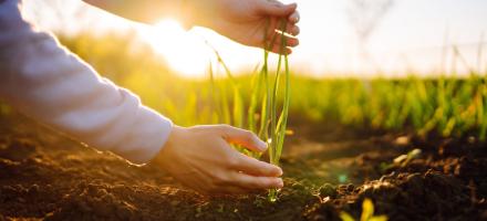 les métiers de l'agronomie 