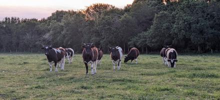 Journée découverte de l'agronomie
