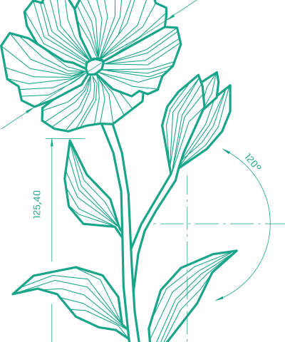 fleur de lin